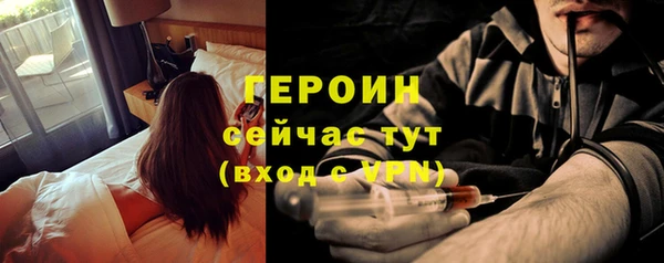 прущие грибы Бородино