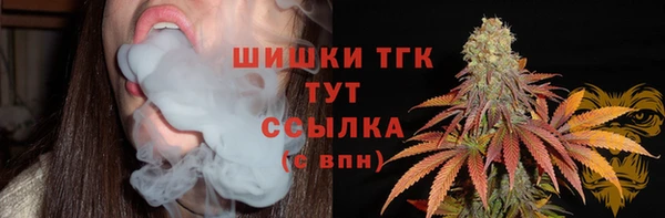 прущие грибы Бородино