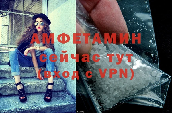 прущие грибы Бородино
