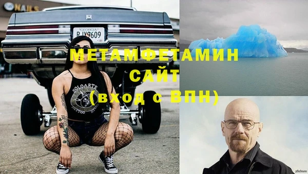 прущие грибы Бородино