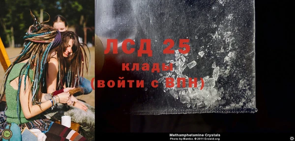 прущие грибы Бородино
