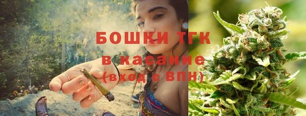 ешки Бронницы