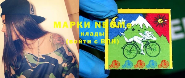 прущие грибы Бородино