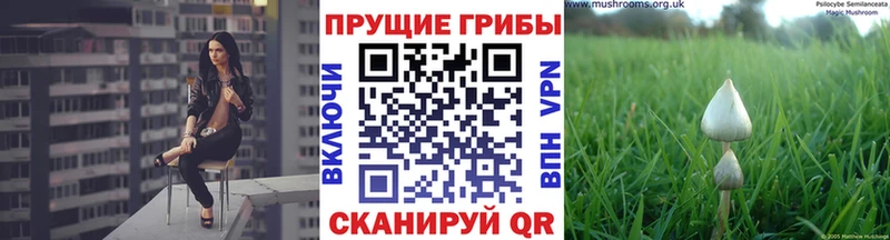 Галлюциногенные грибы ЛСД  где можно купить наркотик  Южноуральск 